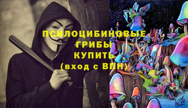 ALPHA PVP Струнино
