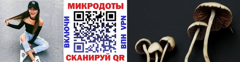 Галлюциногенные грибы прущие грибы Хадыженск